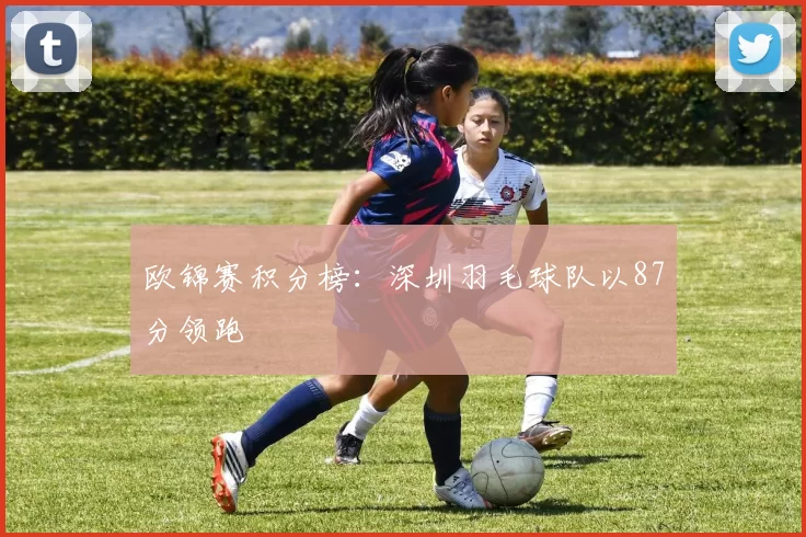 欧锦赛积分榜：深圳羽毛球队以87分领跑