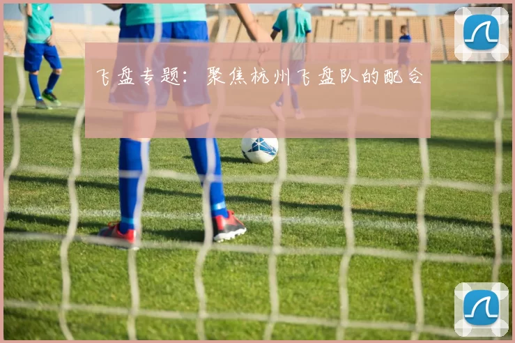 飞盘专题：聚焦杭州飞盘队的配合