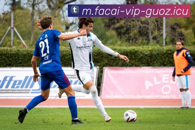 开云体育注册平台生态图